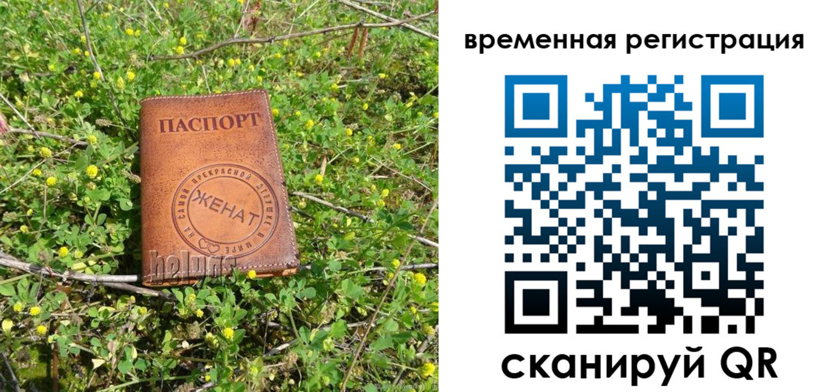 прописка регистрация в Пересвете